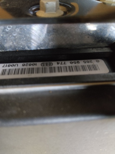 403025191
