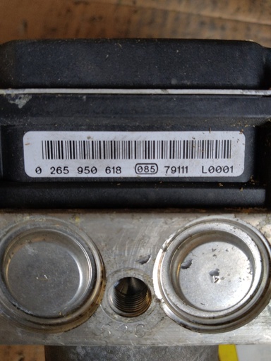 403021909