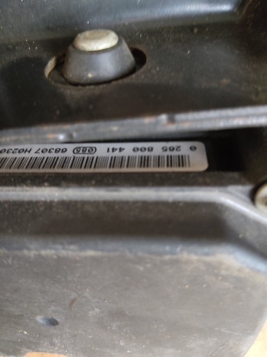 403020264