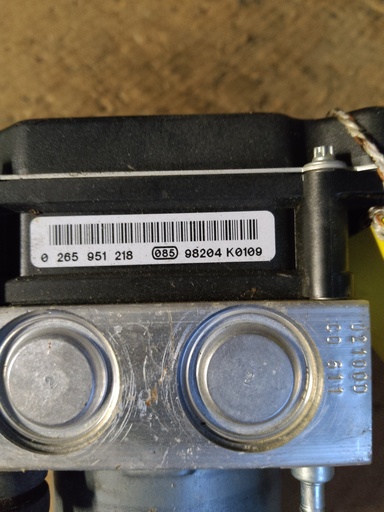 403023646