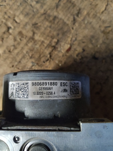 403024991