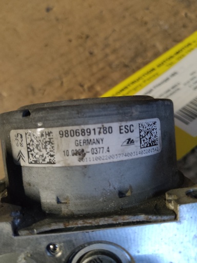 403023624