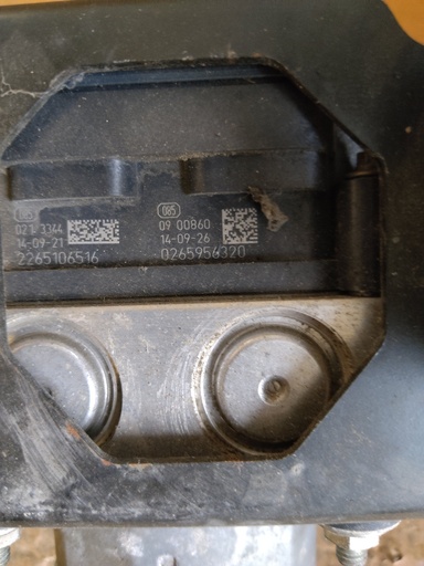 403023202