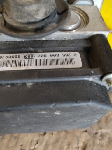 403023491