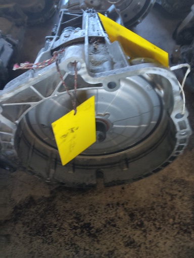 397020243